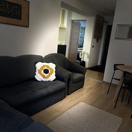 Roman Residence Apartment Borşa Dış mekan fotoğraf