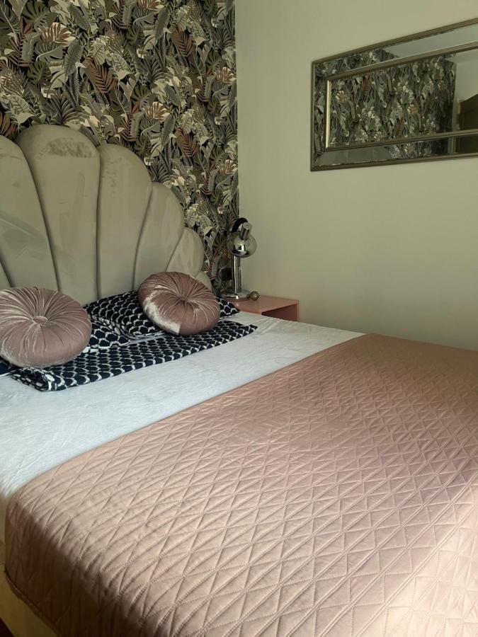 Roman Residence Apartment Borşa Dış mekan fotoğraf
