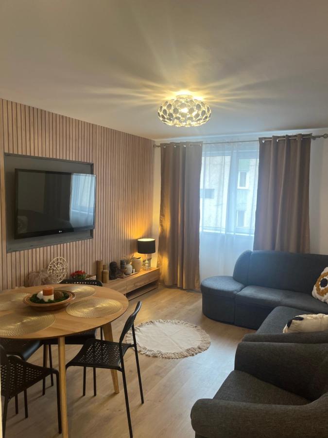 Roman Residence Apartment Borşa Dış mekan fotoğraf