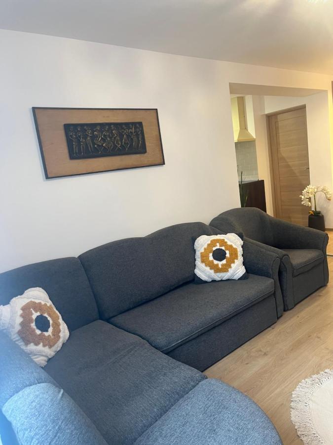 Roman Residence Apartment Borşa Dış mekan fotoğraf
