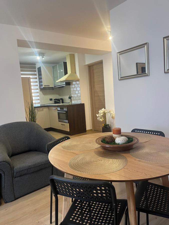 Roman Residence Apartment Borşa Dış mekan fotoğraf