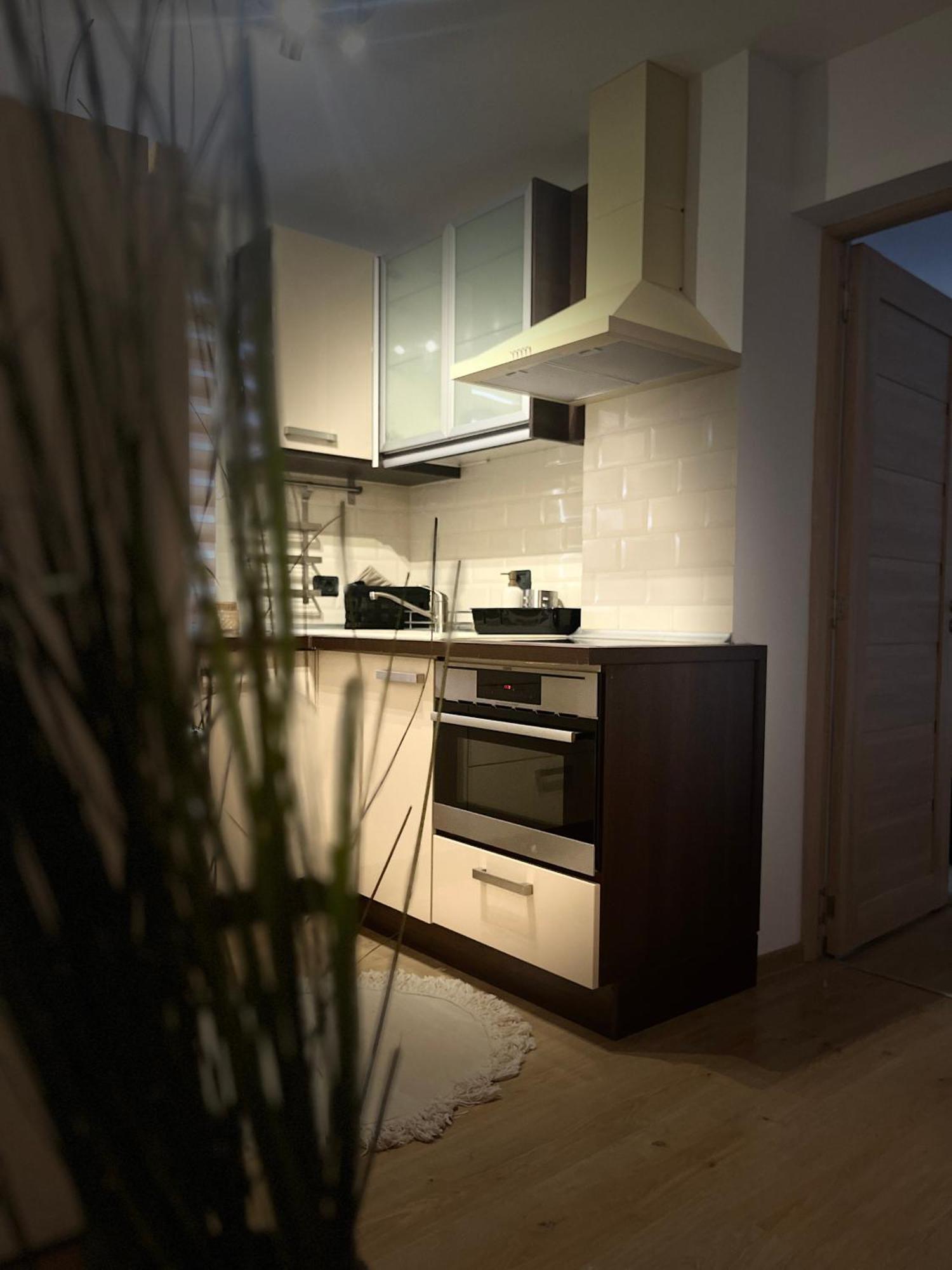 Roman Residence Apartment Borşa Dış mekan fotoğraf