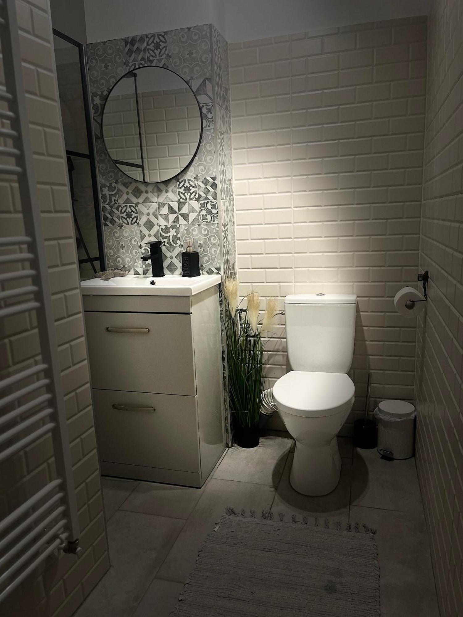 Roman Residence Apartment Borşa Dış mekan fotoğraf
