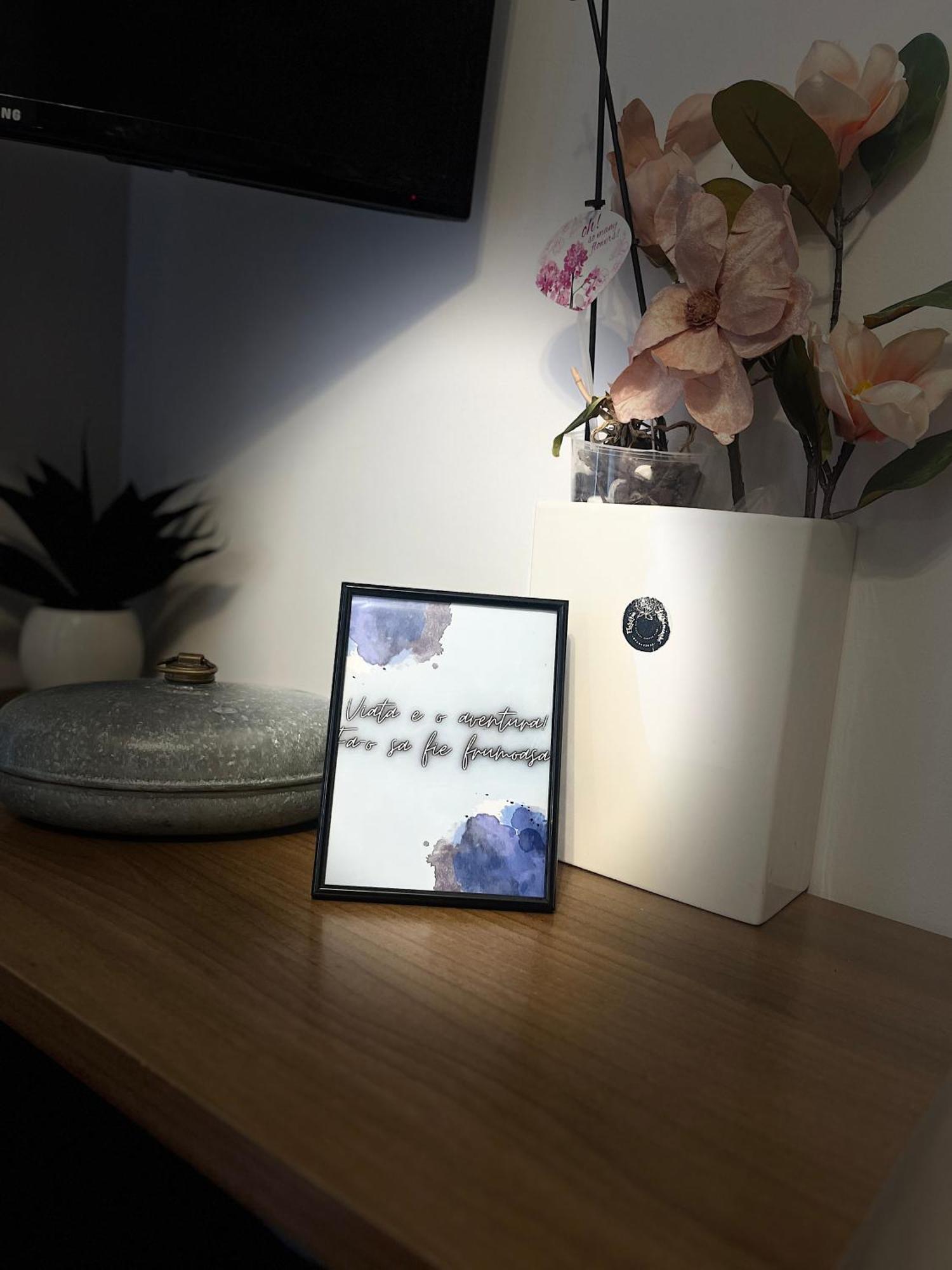 Roman Residence Apartment Borşa Dış mekan fotoğraf
