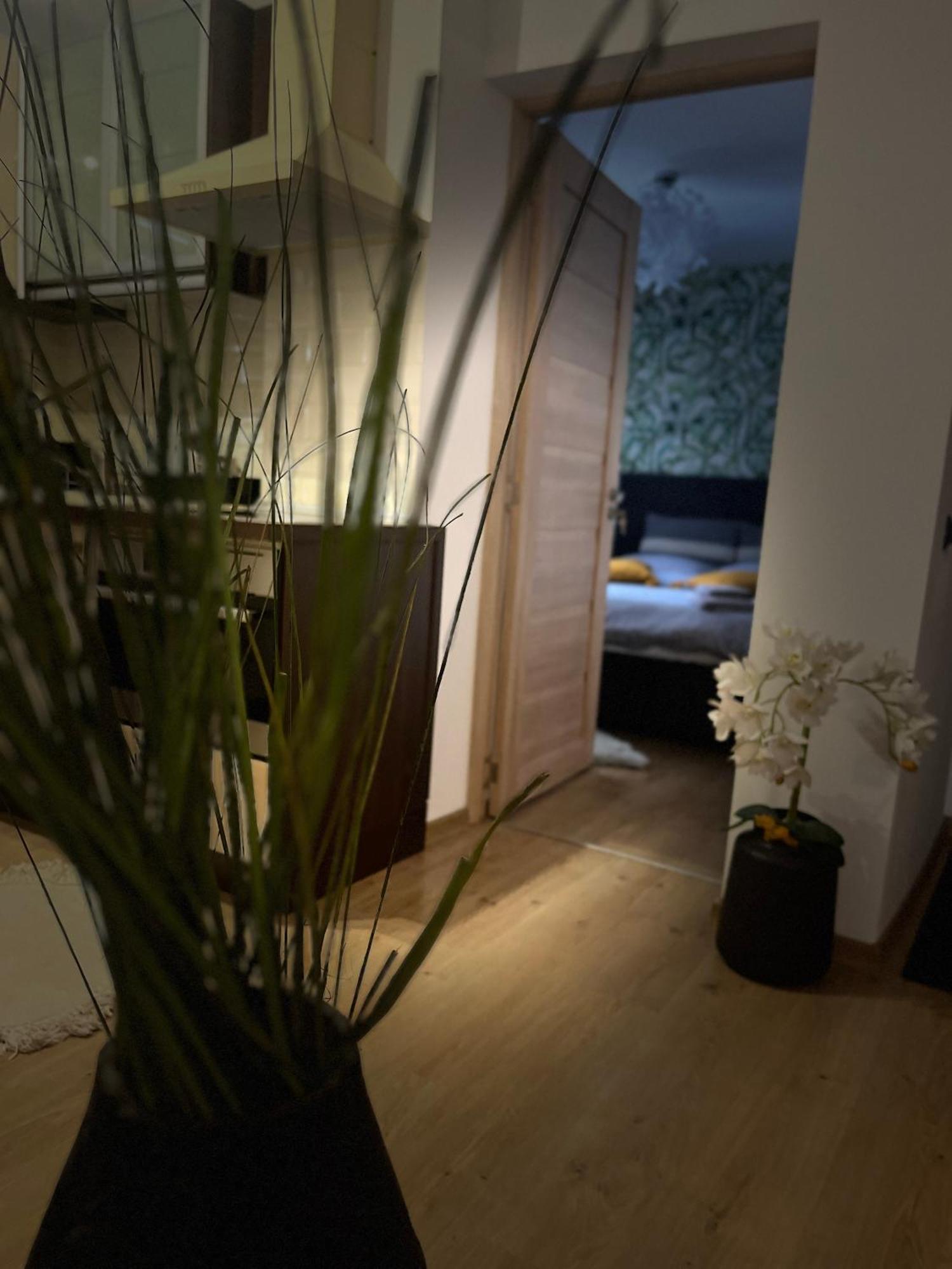 Roman Residence Apartment Borşa Dış mekan fotoğraf