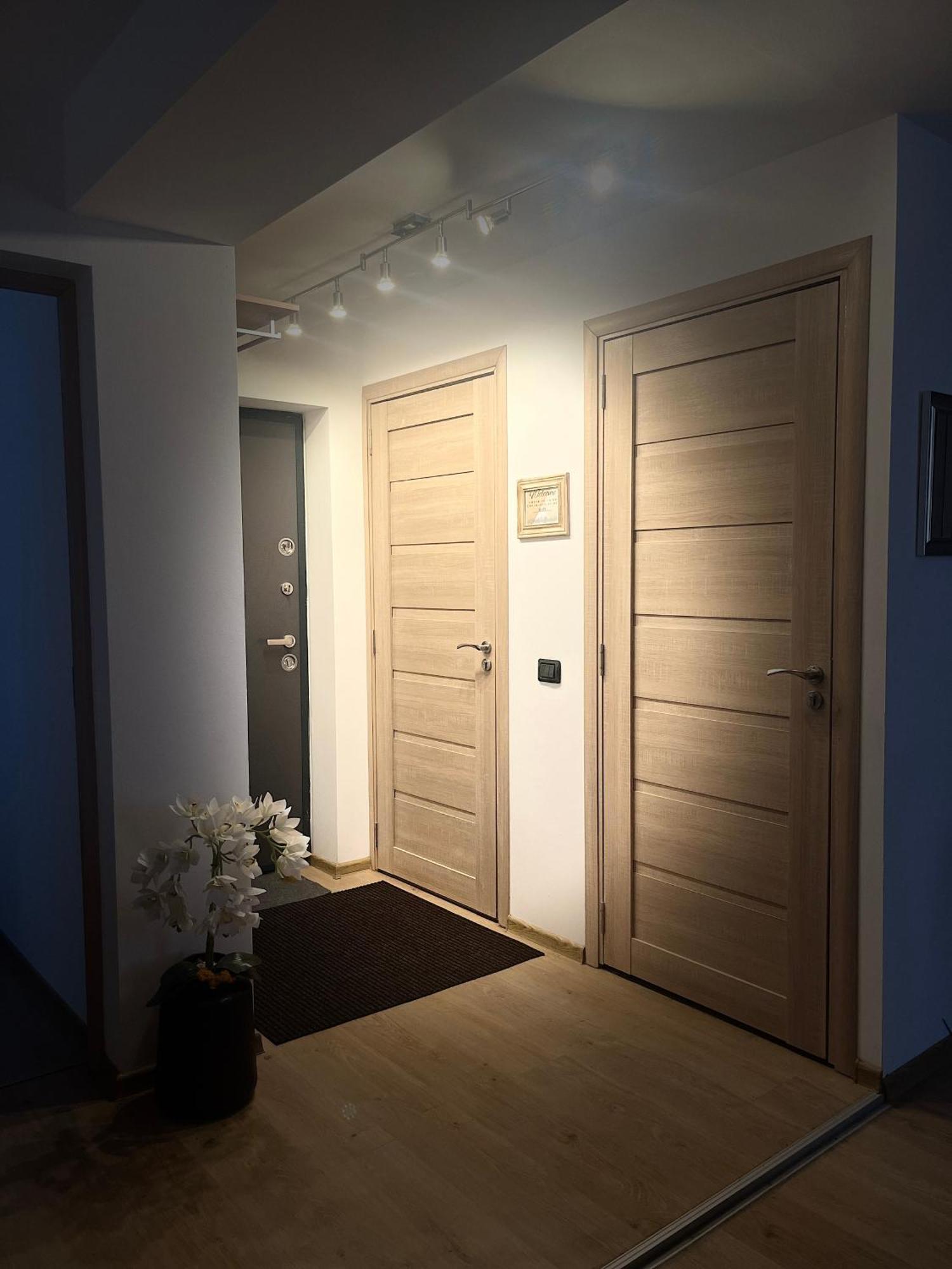Roman Residence Apartment Borşa Dış mekan fotoğraf