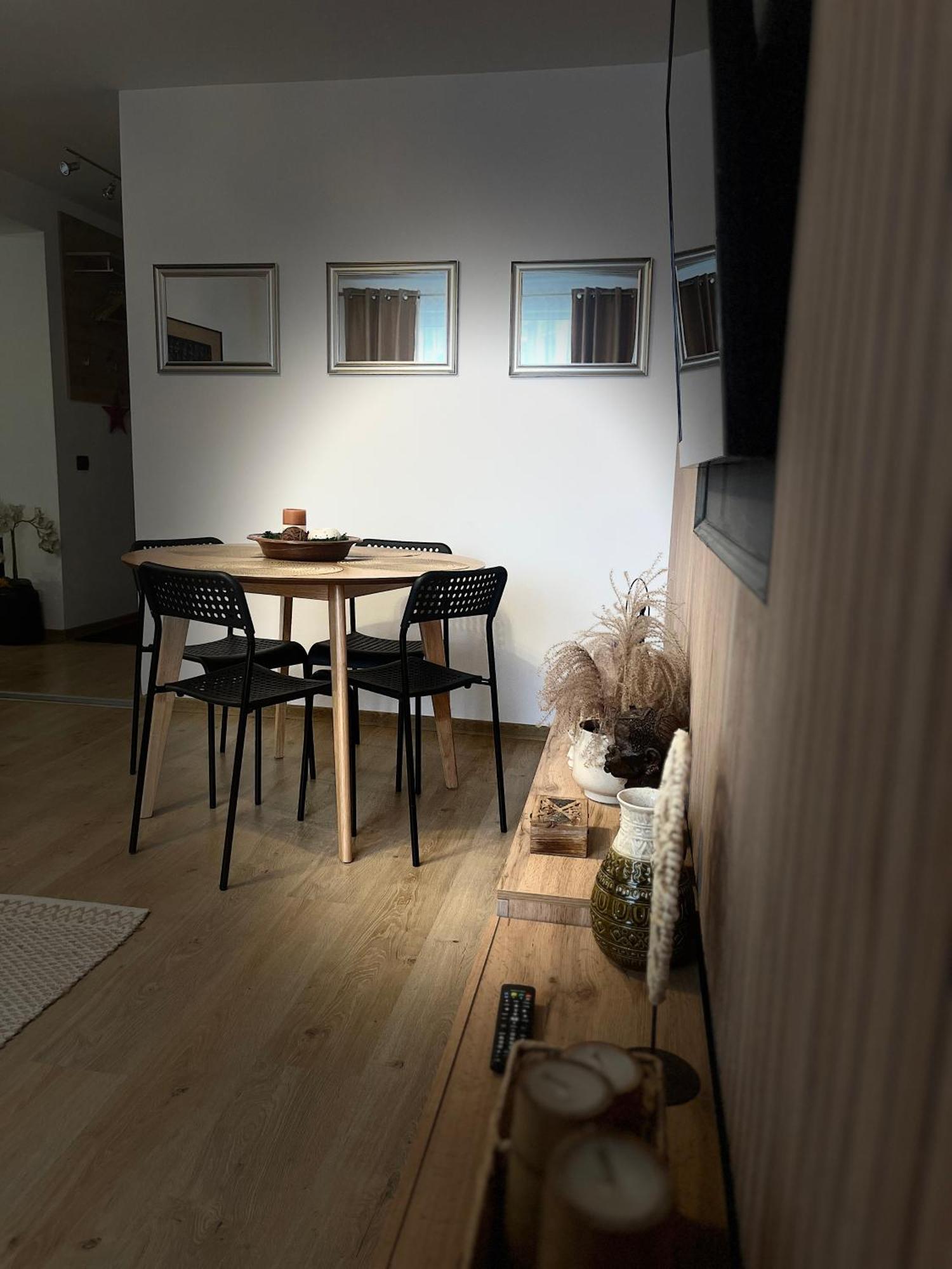 Roman Residence Apartment Borşa Dış mekan fotoğraf
